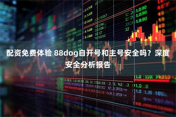 配资免费体验 88dog自开号和主号安全吗？深度安全分析报告