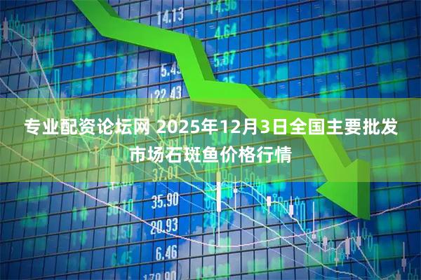 专业配资论坛网 2025年12月3日全国主要批发市场石斑鱼价格行情